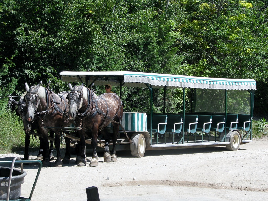 [3337%2520Michigan%2520Mackinac%2520Island%2520-%2520Carriage%2520Tours%2520-%2520three-horse%2520hitch%2520carriage%2520behind%2520Surrey%2520Hills%2520Carriage%2520Museum%255B3%255D.jpg]