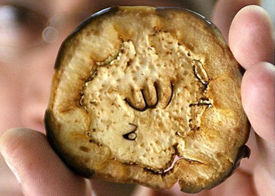 [clip_image018%255B4%255D.jpg]