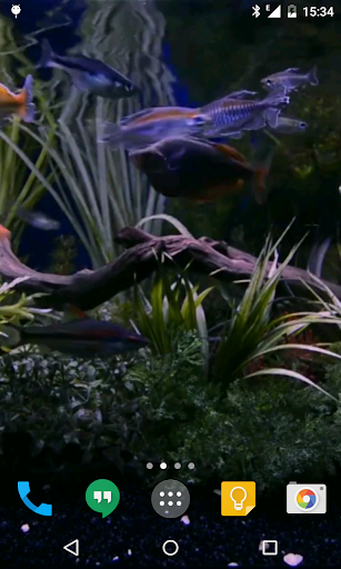 Aquarium Live Wallpaper