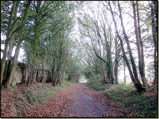 The disused railway line approaching Conder Green