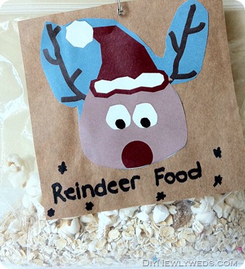 DIY Newlyweds: DIY Home Decorating Ideas & Projects: Reindeer Dust Recipe