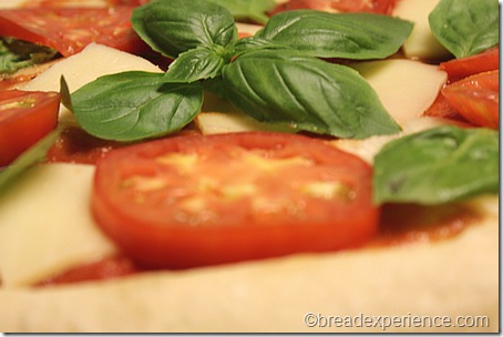 grilled-margherita-pizza6