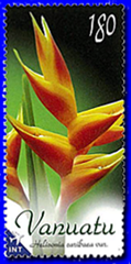 vanuatu flower 4