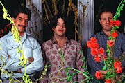Hüsker Dü