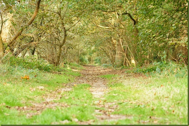 Nar Valley Way Castle Acre to West Acre