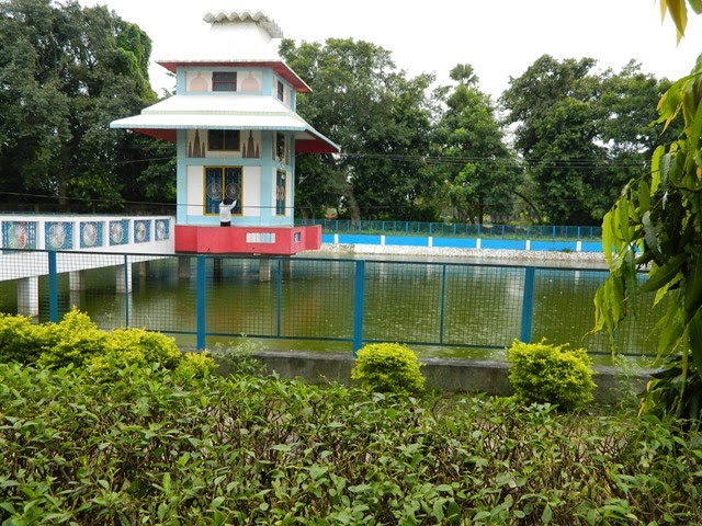 DSCN2203 DSCN2203