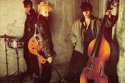 Stray Cats