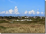 IMG_1974 IMG_1974