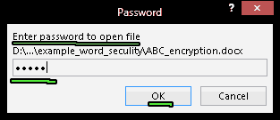 Word document encryption