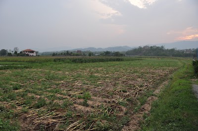 DSC_0707.JPG