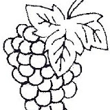 27-coloriage_fruit.jpg
