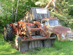 2013-06-17 Hecla Island - 102