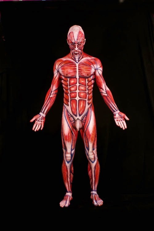 Arte corporal anatomia humana 01