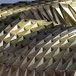 pupa09.jpg