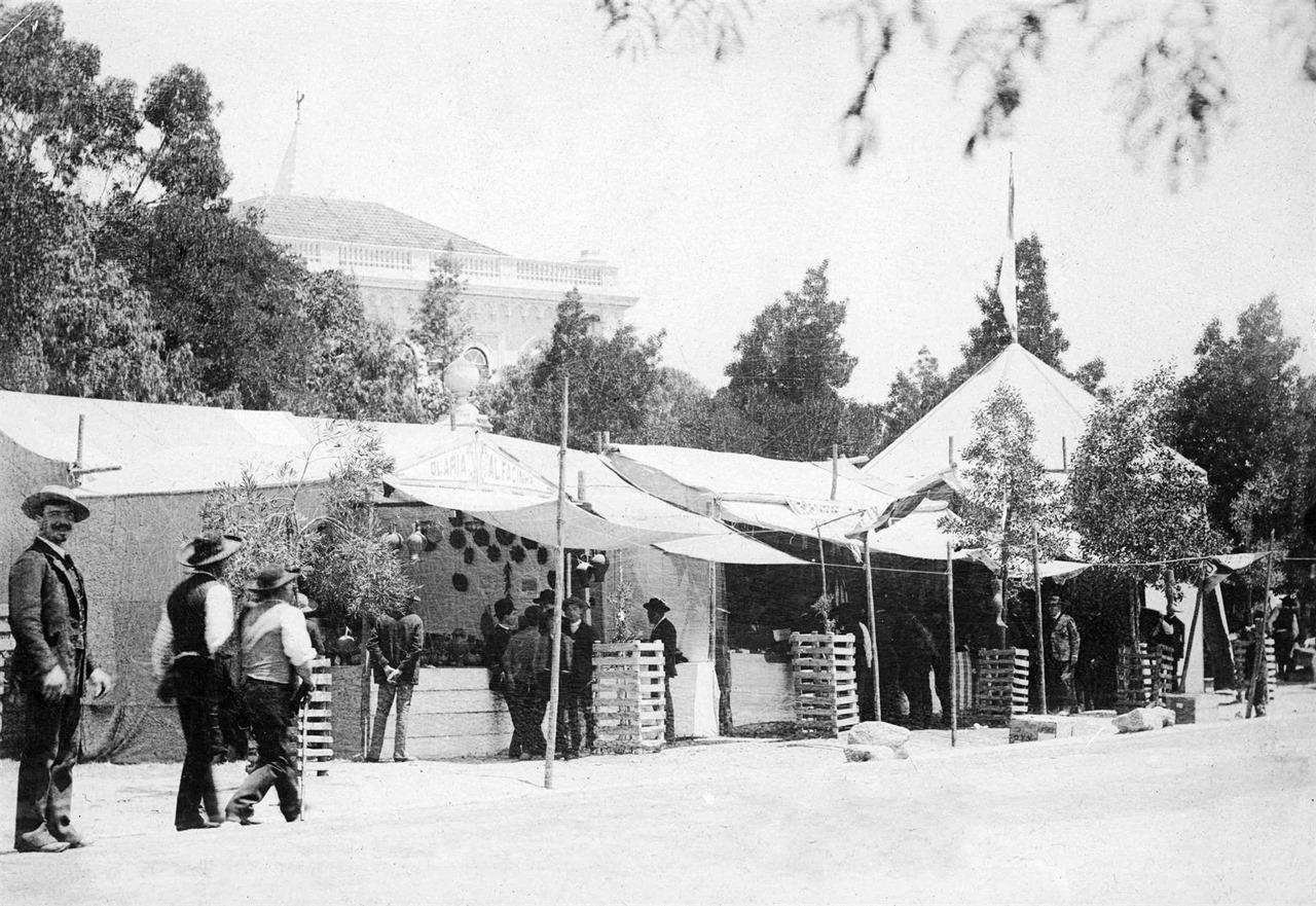 [Feira-da-Luz.3.jpg]