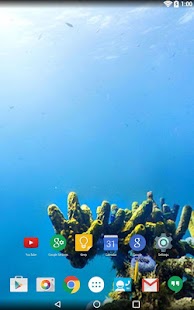 download Panorama Wallpaper: Diving free