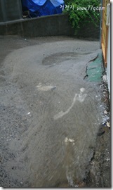 철천지IMG_0957-20110629-170919