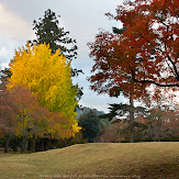 東大寺・紅葉(PK3_0234,28mm,F9,K3)2014yaotomi_.jpg