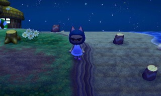animal crossing new leaf beetle catch guide 07