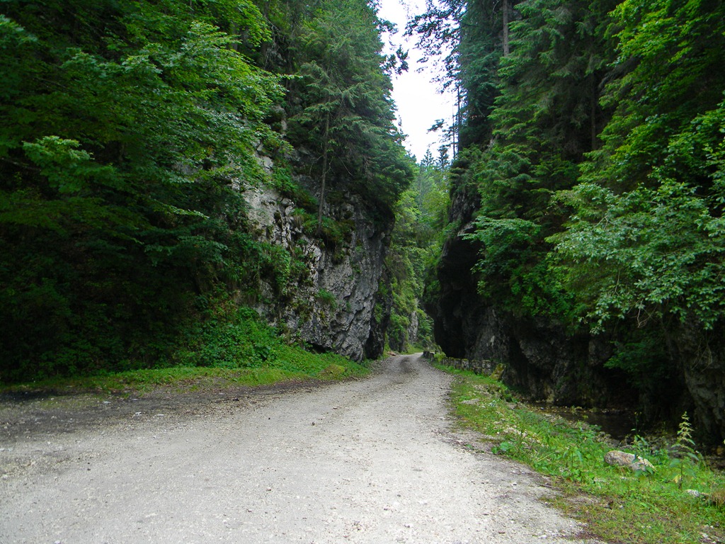 [DSCN30383.jpg]