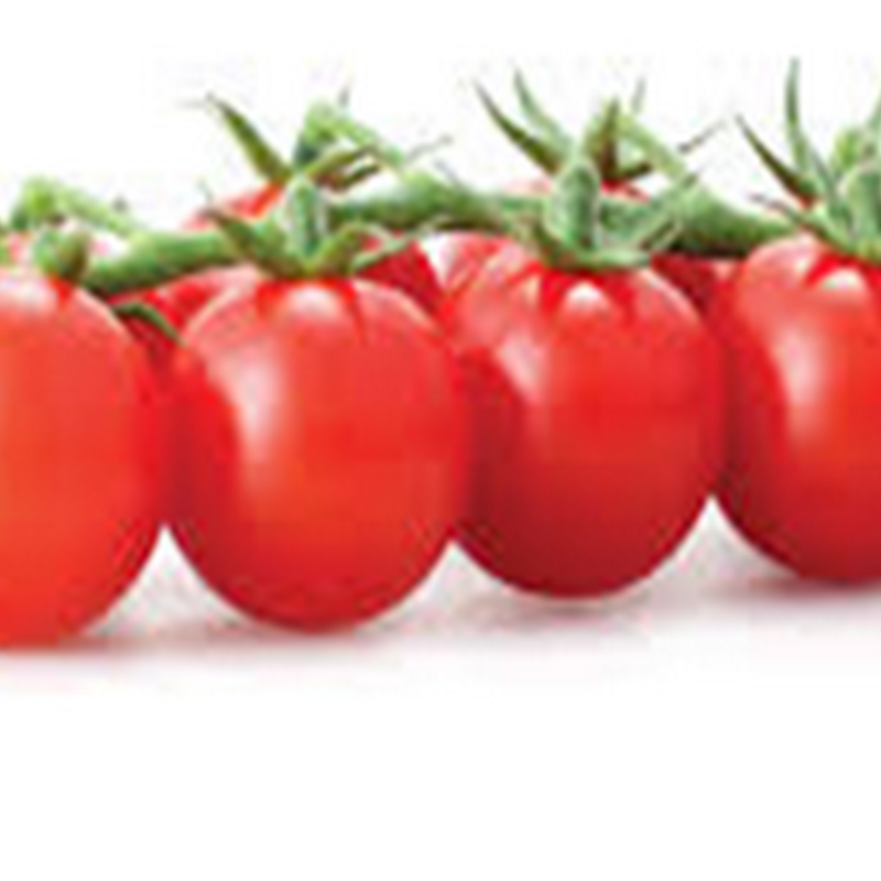 How to grow tomatoes?