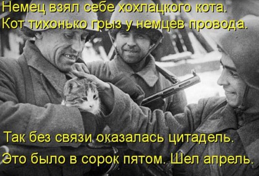 [85382e0a961270f3afd11771157_prev%255B3%255D.jpg]