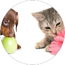 Image Google de laurence vergne