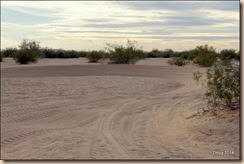 Recreation area at Imperial Sand Dunes.