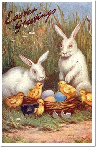 tn2_bunnies-with-chicks