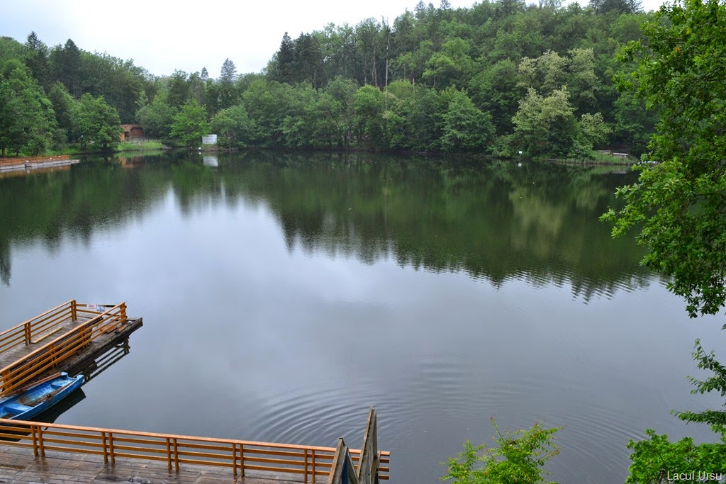 [DSC_28135.jpg]