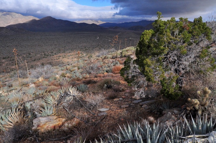 [DSC_0055%255B4%255D.jpg]