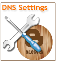 DNS setttings