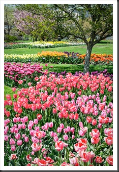 Springtime at Hershey Gardens