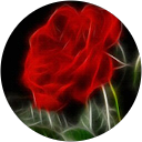 Image Google de Crisantina Teixeira