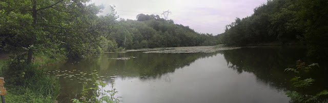 panorama de l&#039;étang Bideau à Saint Anne sur Gervonde 1