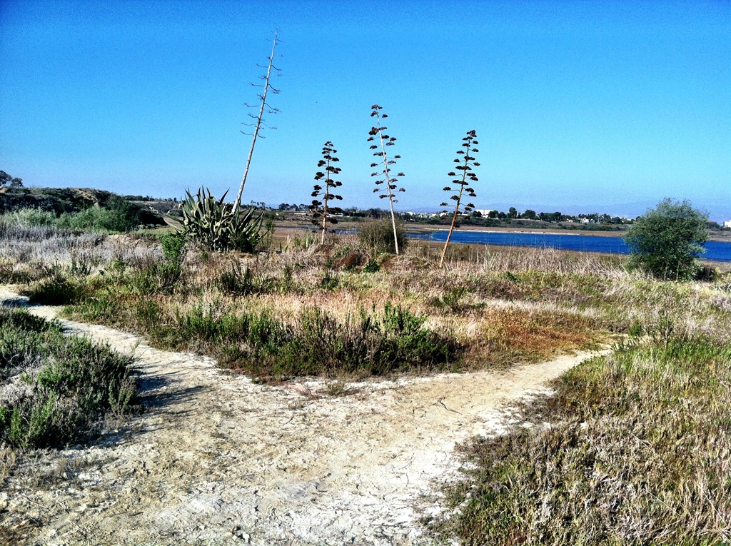 [IMG_0906%255B3%255D.jpg]