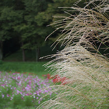 IMGP0033(55mm,F6,3,iso100,KS1)2014yaotomi_s.jpg