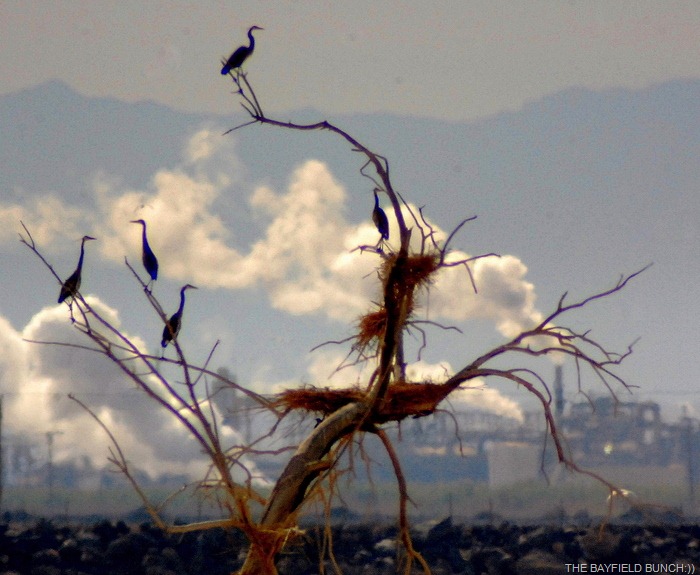 [DSC_5837%255B4%255D.jpg]