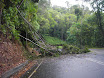 Austr_502_12.11.2007.JPG