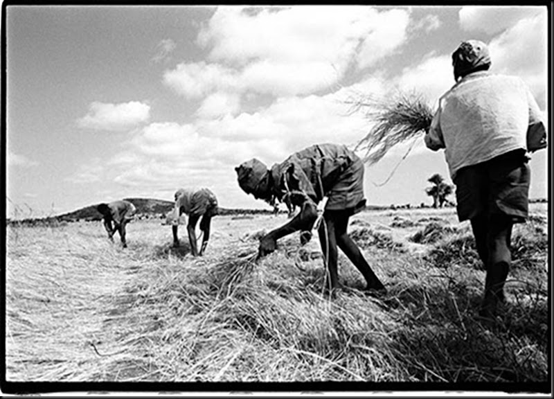 Southern Ethiopia  1993