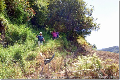 5491 La Laguna-Vueltas Acero-Firgas 5491 La Laguna-Vueltas Acero-Firgas