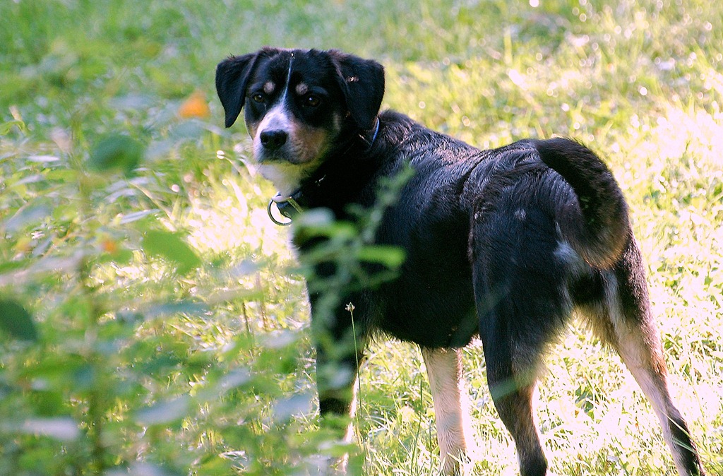 [DSC_4247%255B4%255D.jpg]