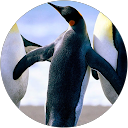 Email David profile picture