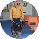 Image Google de jean francois falandry