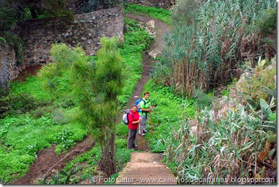 6989 Circular a Santa Brígida(Barranco de La Majadilla) 6989 Circular a Santa Brígida(Barranco de La Majadilla)