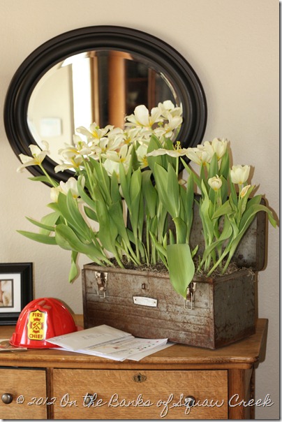 Tulips in a Toolbox
