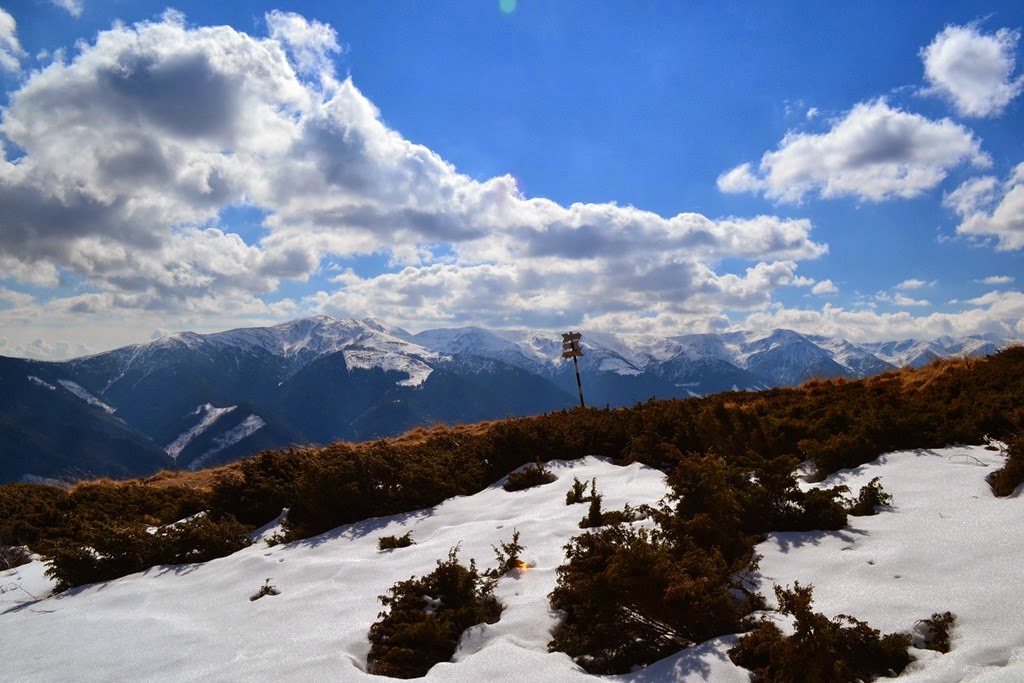 [DSC_50543.jpg]