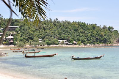 DSC_1019.JPG