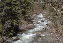 creek flowing