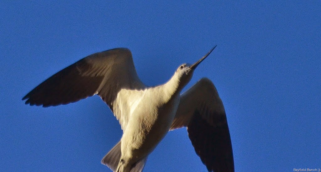 [DSC_0008%255B3%255D.jpg]